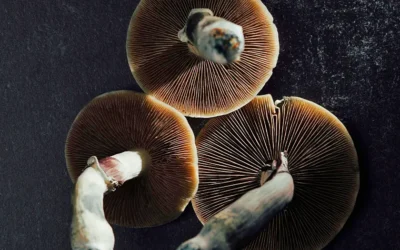 Psilocybin: Potential Psychedelic Treatment for Depression